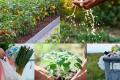 This World Environmental Health Day, Here is How We Can All be Responsible Earth Citizens - Sakshi Post