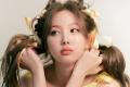 TWICE’s Nayeon Stalker Enters South Korea? - Sakshi Post