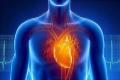 heart disease prevention and treatment - Sakshi Post