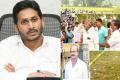 AP CM YS Jagan Inquires Into Murder Of Srikakulam YSRCP MPP Baratam Seshu - Sakshi Post