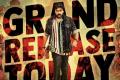 waltair veerayya us premieres review - Sakshi Post