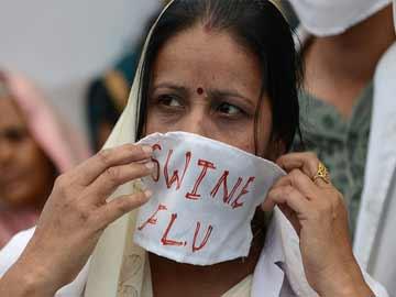 Woman dies of swine flu, toll reaches 10 in Telangana - Sakshi Post