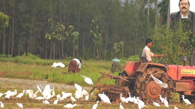 Cases were filed against farmers and farm lands were set on fire when objections were raised to the process of land pooling for the capital city of Amaravati. - Sakshi Post