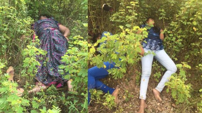 The bodies of two young girls in the bushes on ORR margins&amp;amp;nbsp;&amp;amp;nbsp; - Sakshi Post