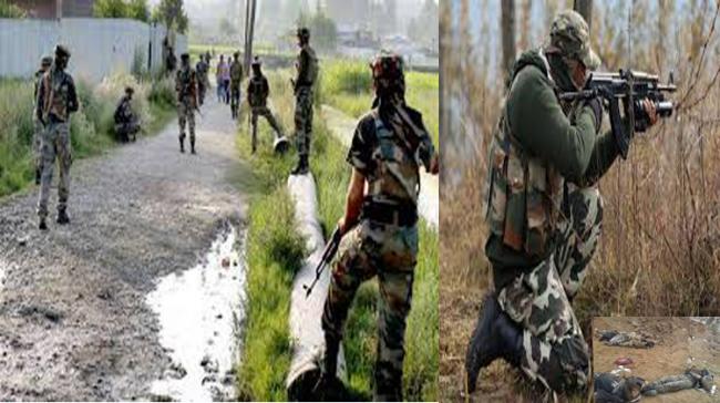 Pulwama Security Forces Gun Down Hiding Militants - Sakshi Post