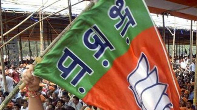 Both Lok Sabha and Assembly polls will be held in the state simultaneously on April 11 - Sakshi Post